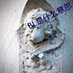 BL是什么意思 （蝇名蜗利）