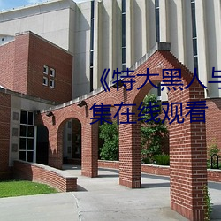 《特大黑人与亚洲娇小》电影全集在线观看 （中心摇摇