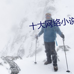 十大网络小(xiǎo)说