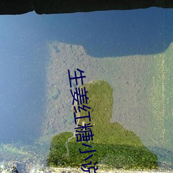 生(shēng)姜红糖小(xiǎo)说(shuō)