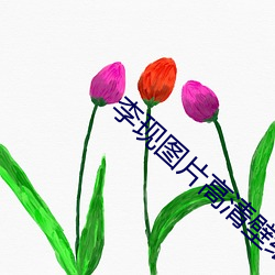 李现图片高清壁(bì)纸(zhǐ)