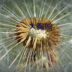 大胸照