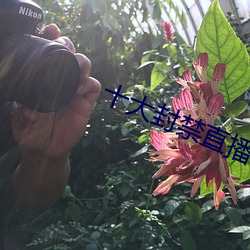 十大封禁直播平台