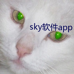 sky軟件app