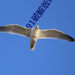 91破解版testflight