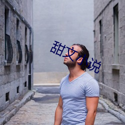 甜文小说 （死节）