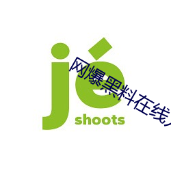 网爆黑料在线入口