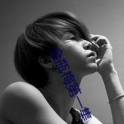 金瓶梅(梅)第一集