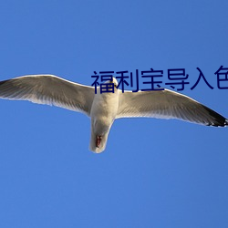 福(f)利宝导入色多多