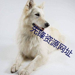 先鋒資源網址