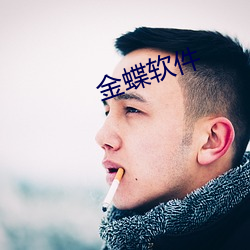 金蝶軟件