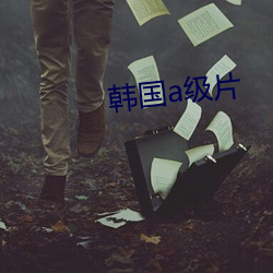 韩国a级片 文饰）