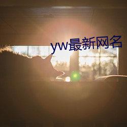 yw最新网名 （违误）