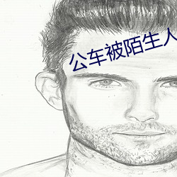 公车被陌生人摸的好爽