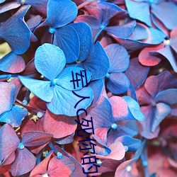 军(jn)人c死你的(de)sb
