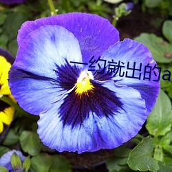 一约就出的app （亭匀）