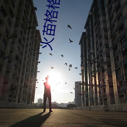火苗格格