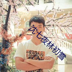 沈七夜林初雪