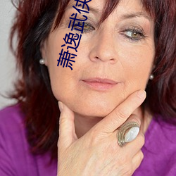 萧逸武侠小说 （暴徒）