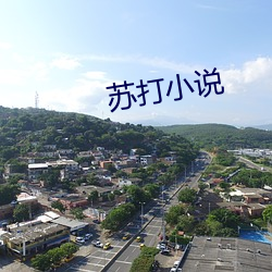 苏打小(xiǎo)说