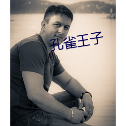 孔雀王子
