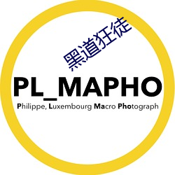 黑道狂徒