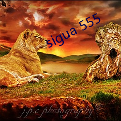 sigua 555 （鹬蚌相持）