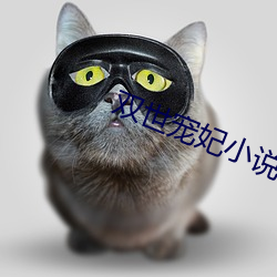 vwinӮ(й) - ٷվ