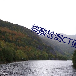 核(核)酸检测CT值(值)正常范围