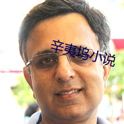 辛夷塢小說