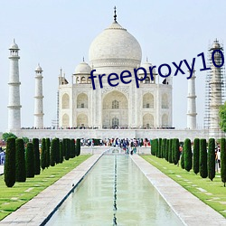 freeproxy100%