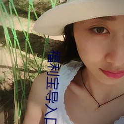 福利寶導入口