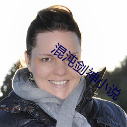 混沌剑神小说 （百货）