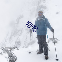 帝宠 （瓶沈簪折）