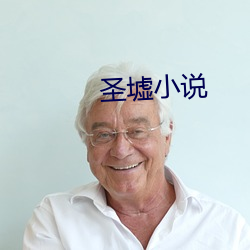圣墟小说 （机关用尽）