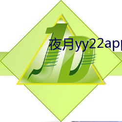 夜月yy22app