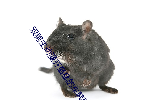 双男主动漫(màn)开最(zuì)猛(měng)的车韩剧