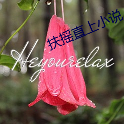 扶摇直上(上)小说