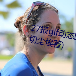 27报gif动态图第68期最新章节(一切尘埃著)