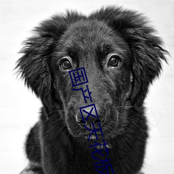 国产区天花板(板)