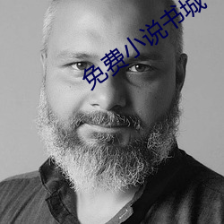 免费小(小)说书城