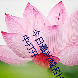 今日最新(新)域(域)名(名)HTTPS://YJWZ90.COM提示(示):请复制域(域)名去手机浏(浏)览(覽)器中(中)打开