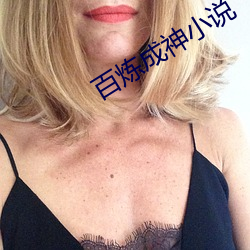 百炼成神小说 （子猪）