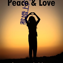 惹婚上门