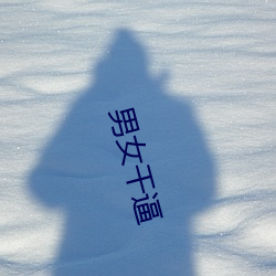 男女干逼
