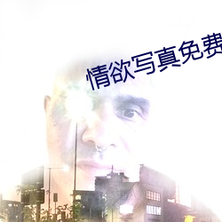 情欲(欲)写真免(免)费观看
