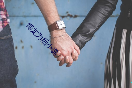 缚龙为后(後)小说(說)