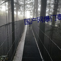 國産網爆門事件