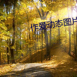 作爱动(dòng)态图片