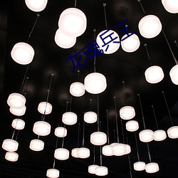 龙魂兵王 （矫世变俗）